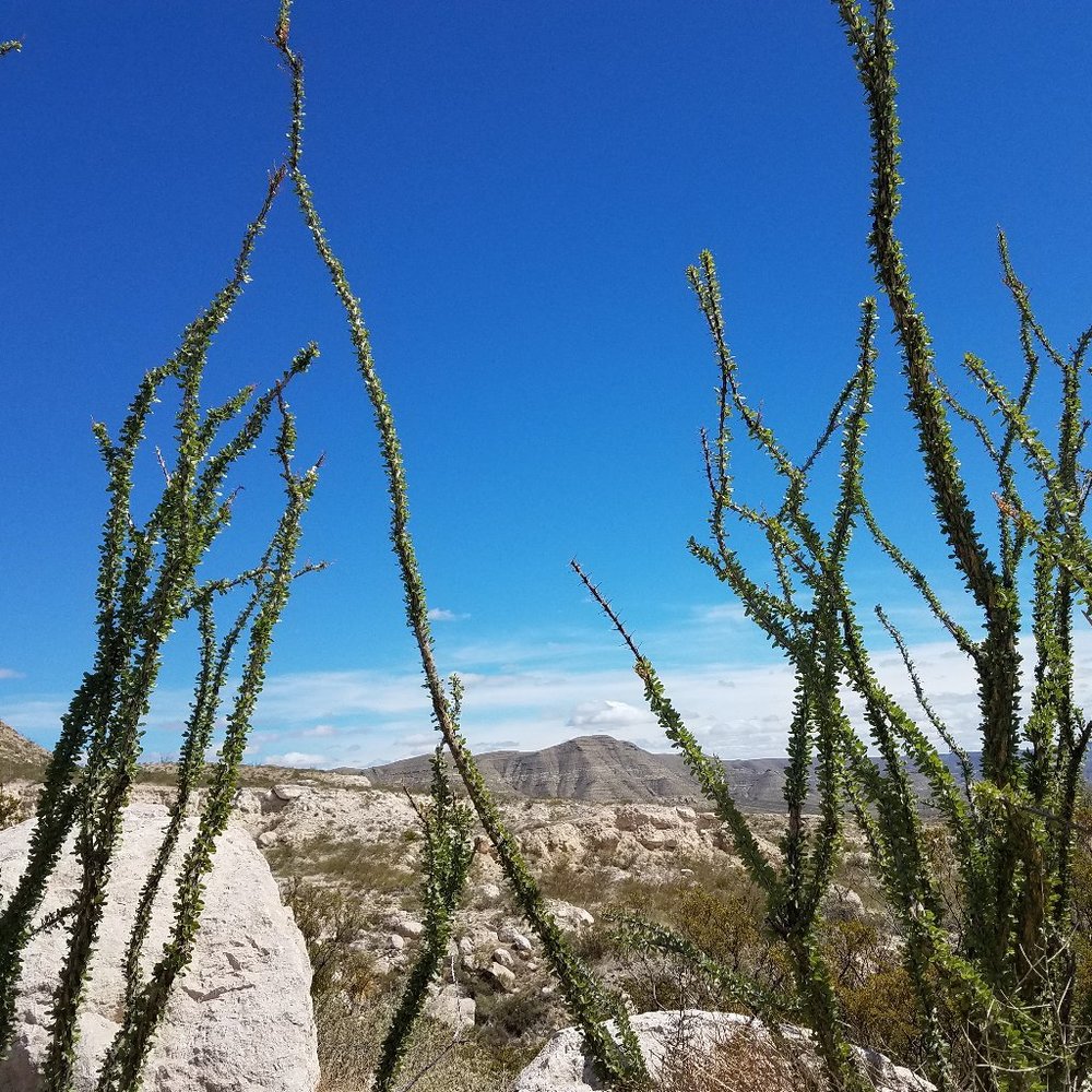 Meet your Posher, Hellraiser